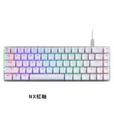 【ROG】 FALCHION ACE NX RGB (中刻紅軸) 電競鍵盤 白色 PBT鍵帽 ASUS華碩