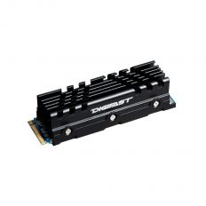 【DIGIFAST】迅華 NVMe M.2 2280 PCIe 散熱片組-黑色
