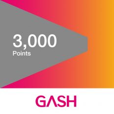 【GASH】 3000點(線上發卡)