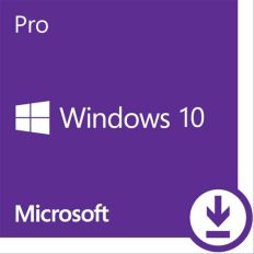 【Microsoft 微軟】ESD-Win Pro 10 專業下載版